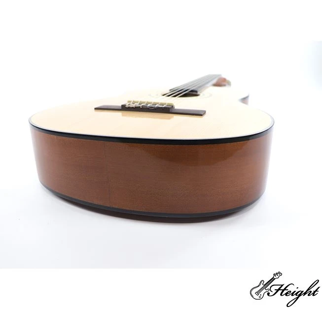 musical instrument guitar