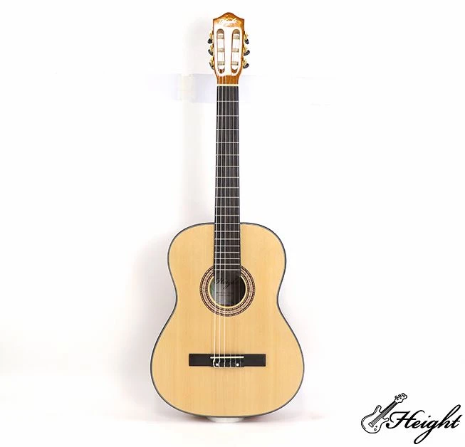 Musical Instrument Guitar