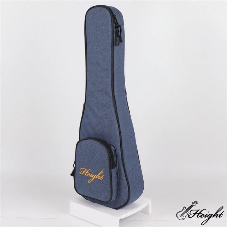 Cationic Bags For Ukulele